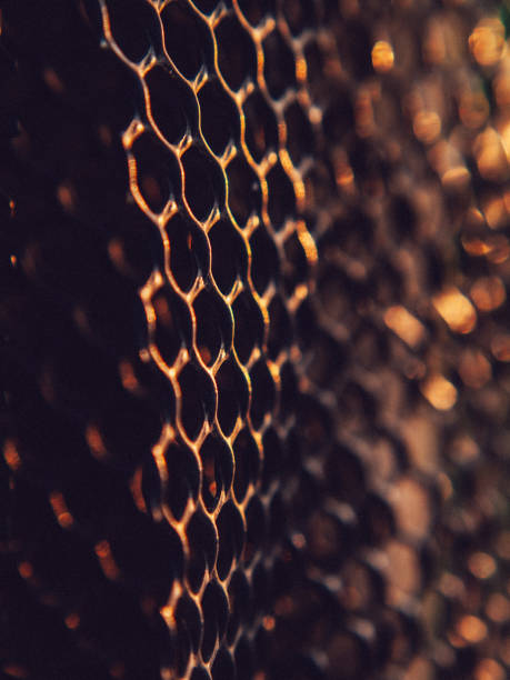 Plastic fence mesh
